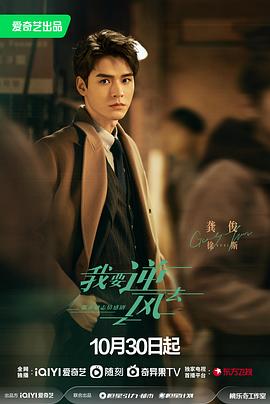 互联网网站运营排名优化